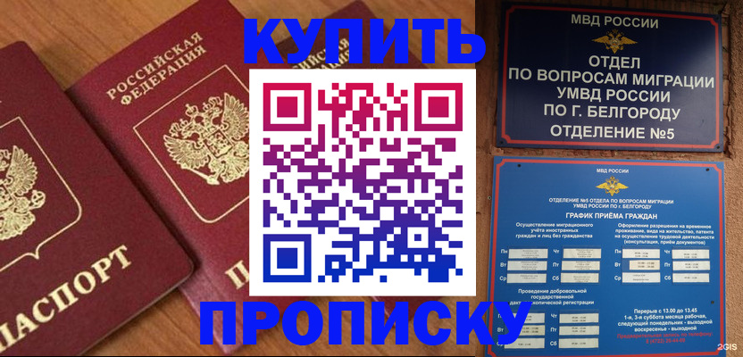 прописка 2025 в Нижнем Новгороде